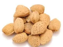 BADAM / बदाम