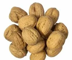 AKHROT / अखरोट