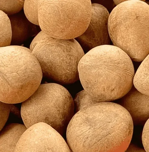 KHOPRA GOLA/ खोपरा गोला