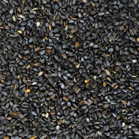 BLACK TIL / काला तिल