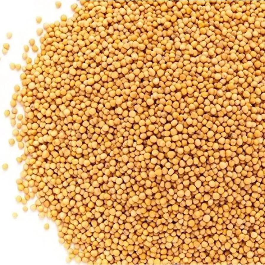 YELLOW RAI (MUSTARD SEED) / पीली राई (250G)