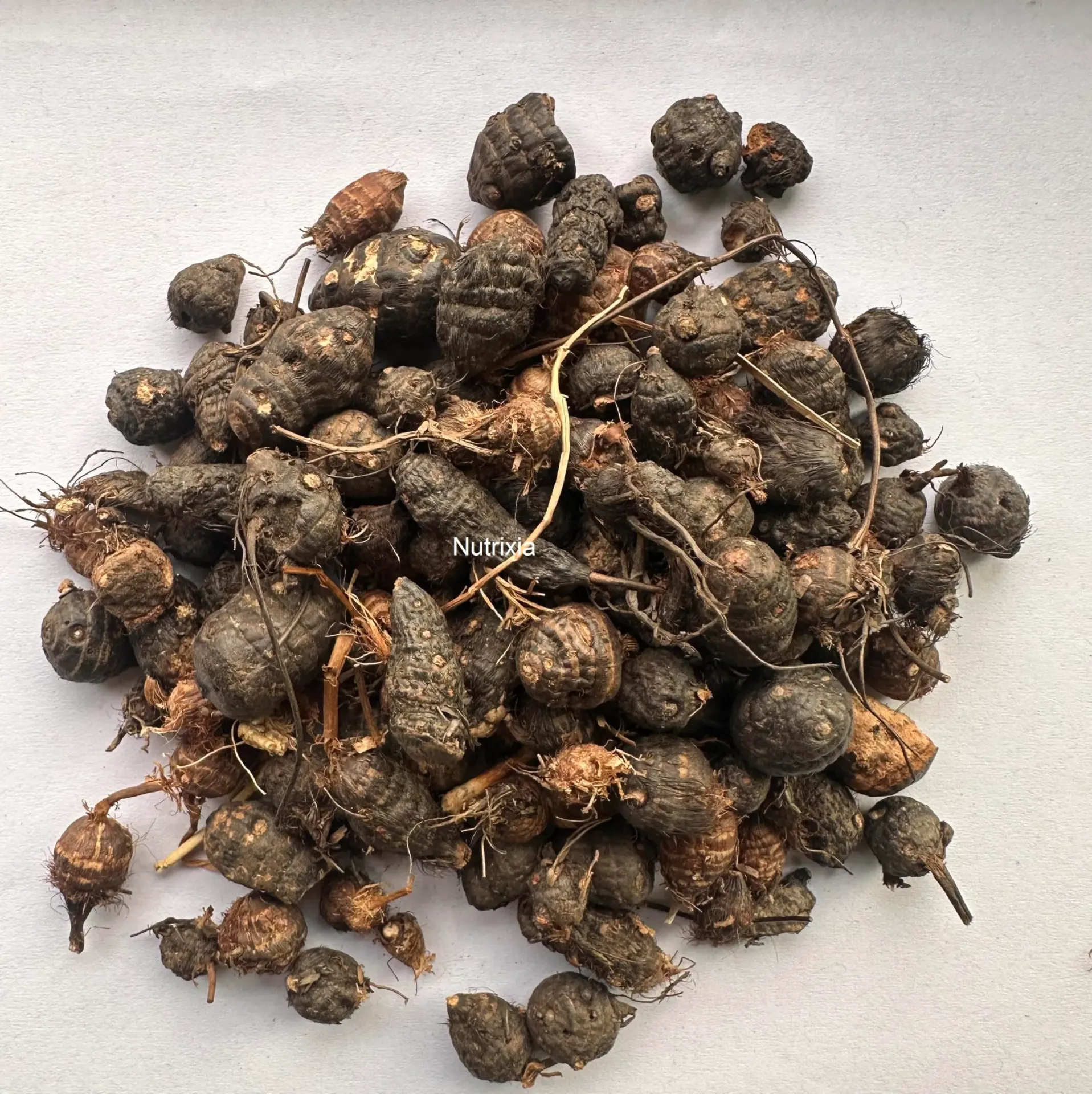 NAGARMOTHA / नागरमोथा