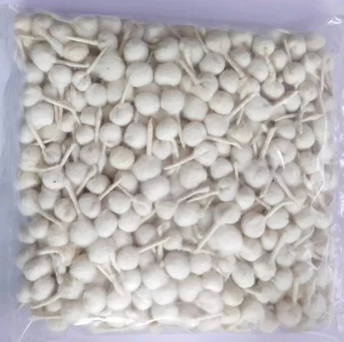 SMALL FULL VATI / फुलवाती