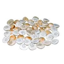 GOMTI CHAKRA / गोमती चक्र