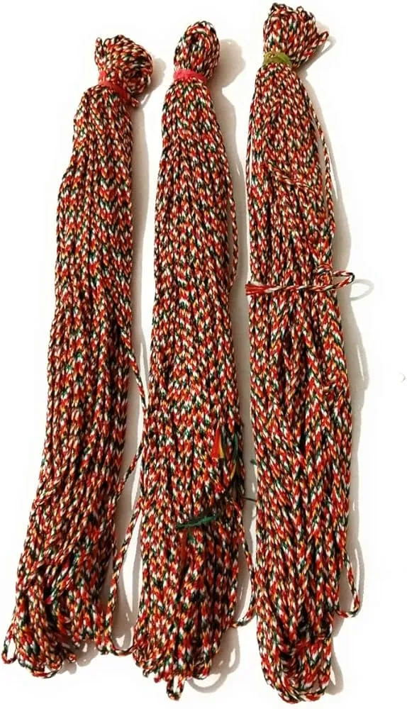 PANCHRANGI REEL / पंचरंगी रील